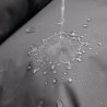 BB_S6102637