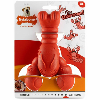 Koera närimismänguasi Nylabone Punane Veiseliha Kunstlik XL,,,