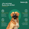 BB_S6104803