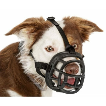 Muzzle Company of Animals Black 6,,,