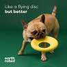 BB_S6104858