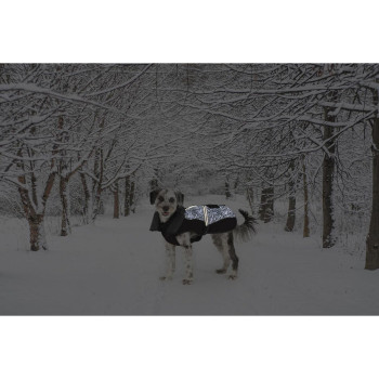 Dog Coat Dog Gone Smart Black 45 cm,,,