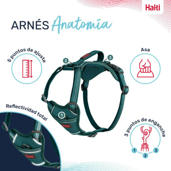 Dog Harness Company of Animals Turquoise XS 20-32 cm,,,
