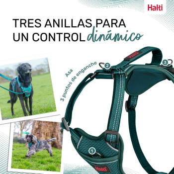 Dog Harness Company of Animals Turquoise S 28-42 cm,,,