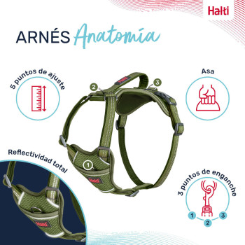 Dog Harness Company of Animals Green XL 50-78 cm,,,