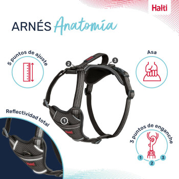 Dog Harness Company of Animals Grey XL 50-78 cm,,,