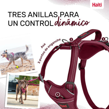 Dog Harness Company of Animals Burgundy M 35-55 cm,,,