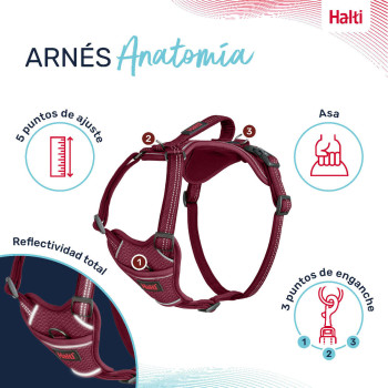 Dog Harness Company of Animals Burgundy XL 50-78 cm,,,