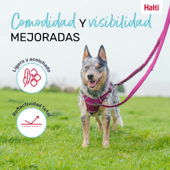 Dog Lead Company of Animals Grey S,,,
