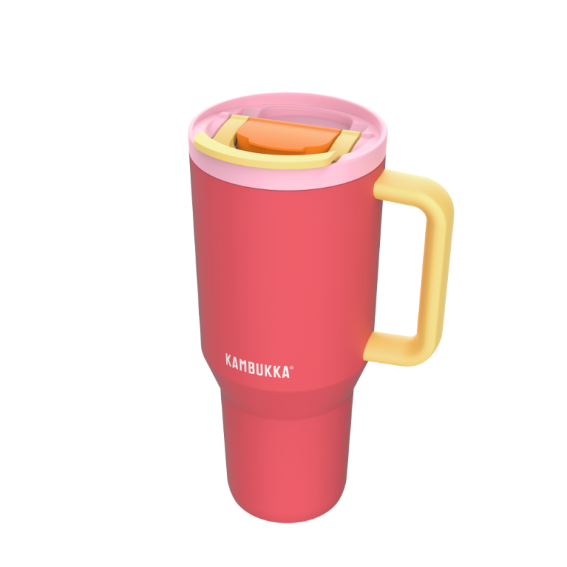 RIO TERMOКРУЖКА AR РУЧКА URI 950ML, KORAĻĻU KRĀSĀ, Kambukka