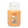 Aromātiska svece Yankee Candle 10.00115.0543,,,