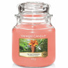 Aromātiska svece Yankee Candle The Last Paradise,,,