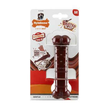 Kauls Nylabone Brūns Bacon M,,,