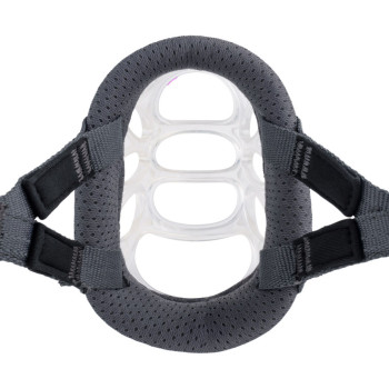 Muzzle Company of Animals Transparent 4,,,