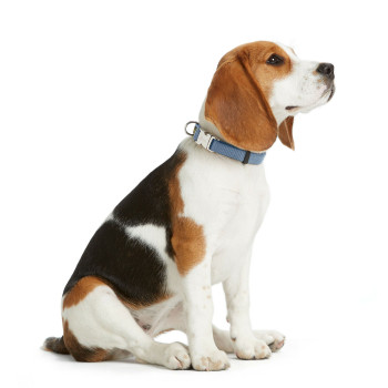 Dog collar Hunter VARIO BASIC Blue M 30-45 cm,,,