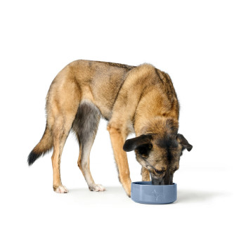 Кормушка для собак Hunter OSBY GLAZED Синий Керамика 2,5 L