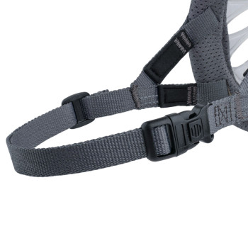 Muzzle Company of Animals Transparent 5,,,