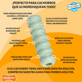 Košļājamā rotaļlieta suņiem Nylabone SENSORY TACTILE STICK Zaļš Zemesriekstu sviests Bacon S,,,