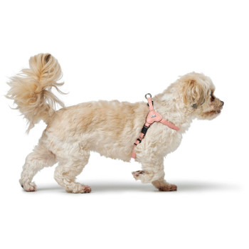 Dog Harness Hunter SOHO MINI Pink XXS/XS,,,