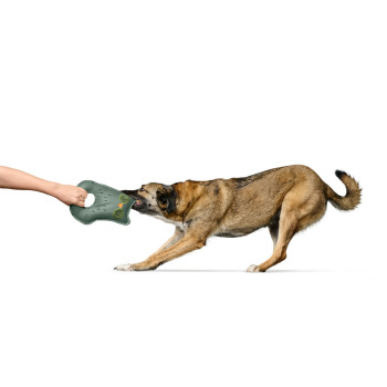 Suņu rotaļlieta Hunter Tough Tundra Zaļš Pūce,,,