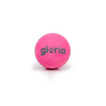 Mājdzīvnieku Bumba Gloria PLAY AND RUN Pelēks Putas TPR S,,,