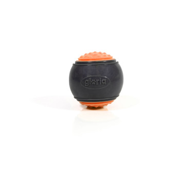 BB_S6105227