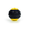 BB_S6105229