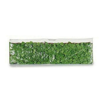 Sodo tvora Ibergarden Šviesiai žalia Plastmasinis,,,