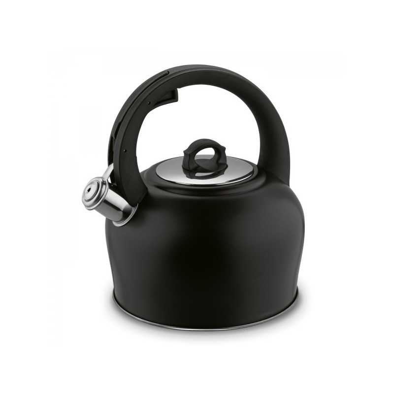 Чайник мет. 3.0L с свистком indukc STELLA J