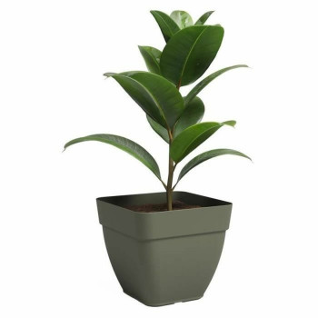 Plant pot Artevasi 36,5 x 36,5 x 33,5 cm Green,,,