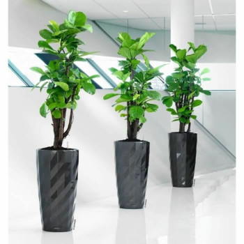 Plant pot Lechuza Grey Plastic (1 Unit),,,