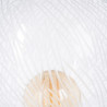 BB_V0707086
