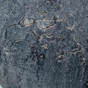 BB_D1629405