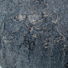 BB_D1629405