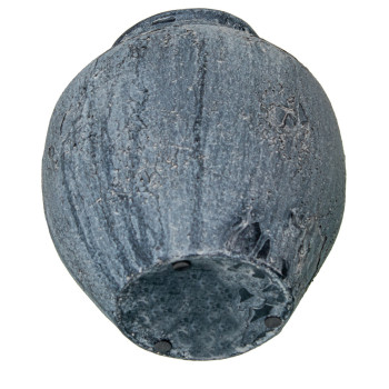 BB_D1629405