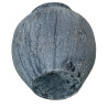 BB_D1629405