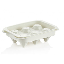 Forma ledus ptmasasmasas. с...