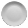 ENT PLATE  25CM