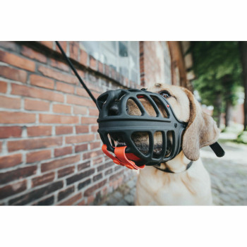 Muzzle Gloria Albury Black (Refurbished B),,,