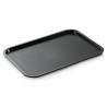 TRAY  45.5x35.5x2CM, PELĒKA, PP, WAS