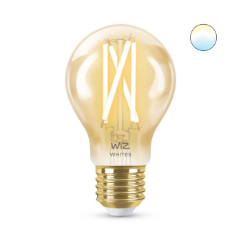 Elektripirn Wiz Mitmevärviline Kuldne F 7 W 50 W E27,,,