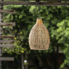 BB_S71004596