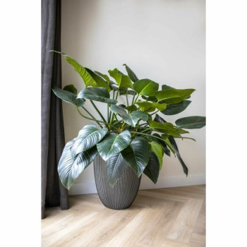 Vaas Capi Europe GROOVE NL Antratsiithall Plastmass 34 x 34 x 46 cm,,,