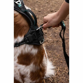 Dog Harness SYMBIOZ Black XS,,,