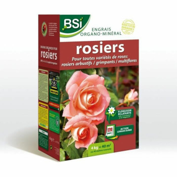 BB_S71009610