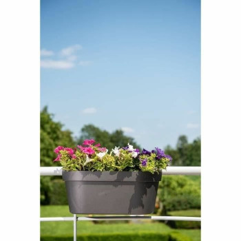 Self-watering planter Garden ID,,,