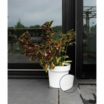 Self-watering flowerpot Garden ID White,,,