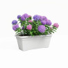 BB_S71011510