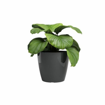 Planter Artevasi SAN REMO Anthracite d 42 cm (2 Pieces),,,