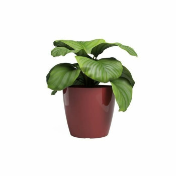 Planter Artevasi SAN REMO Dark Red d 36 cm (4 Pieces),,,